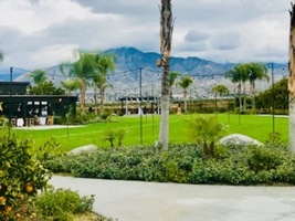 The Grove of Redlands photos