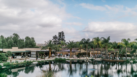 The Pond at Casey Orchards photos