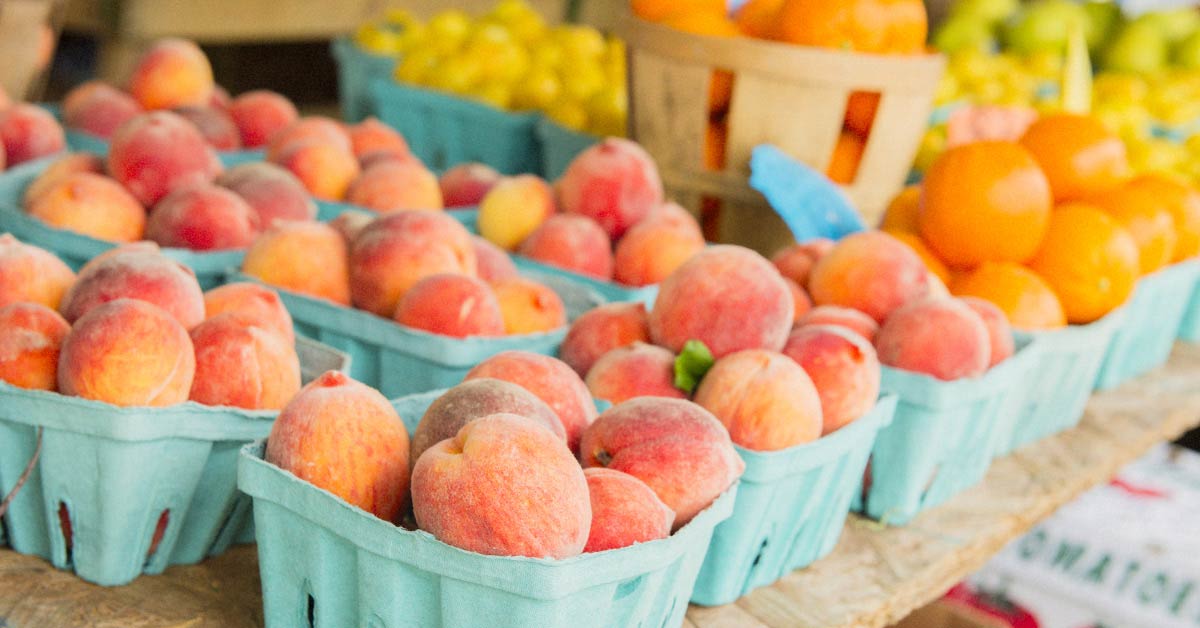 Saturday Farmer's Market